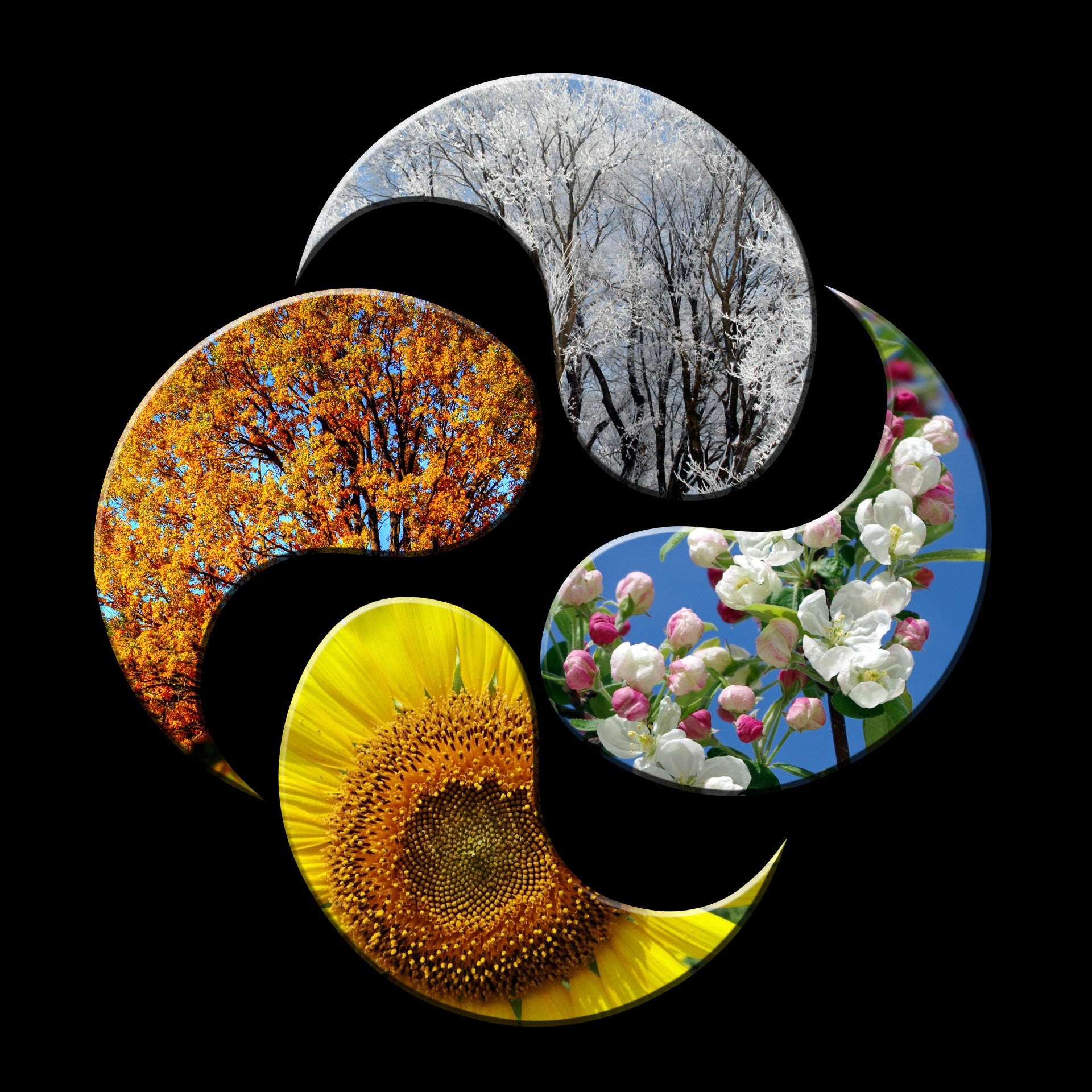Seasonal Products