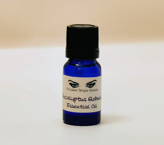 Eucalyptus Globulus Essential Oil