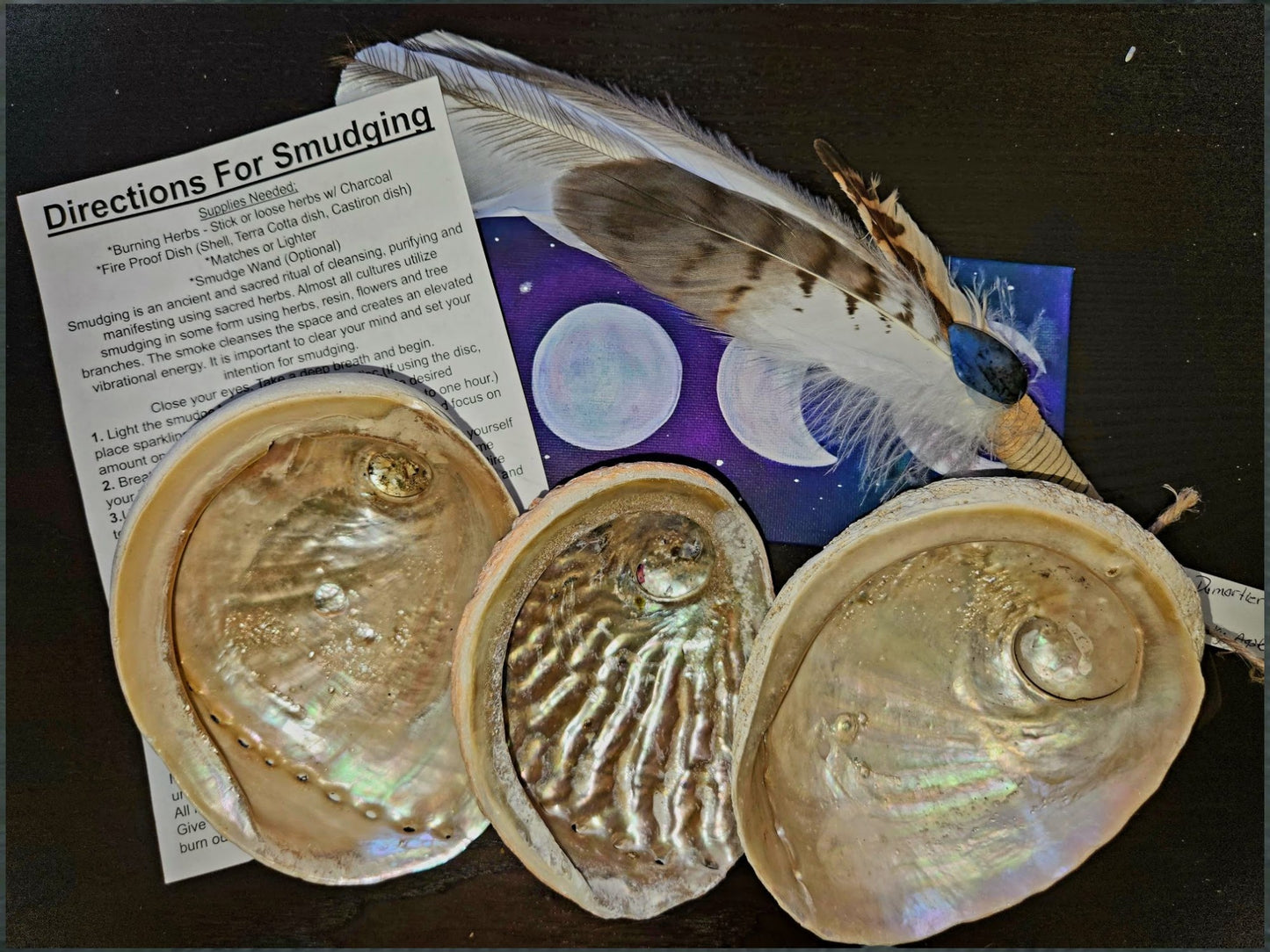 Abalone Shells