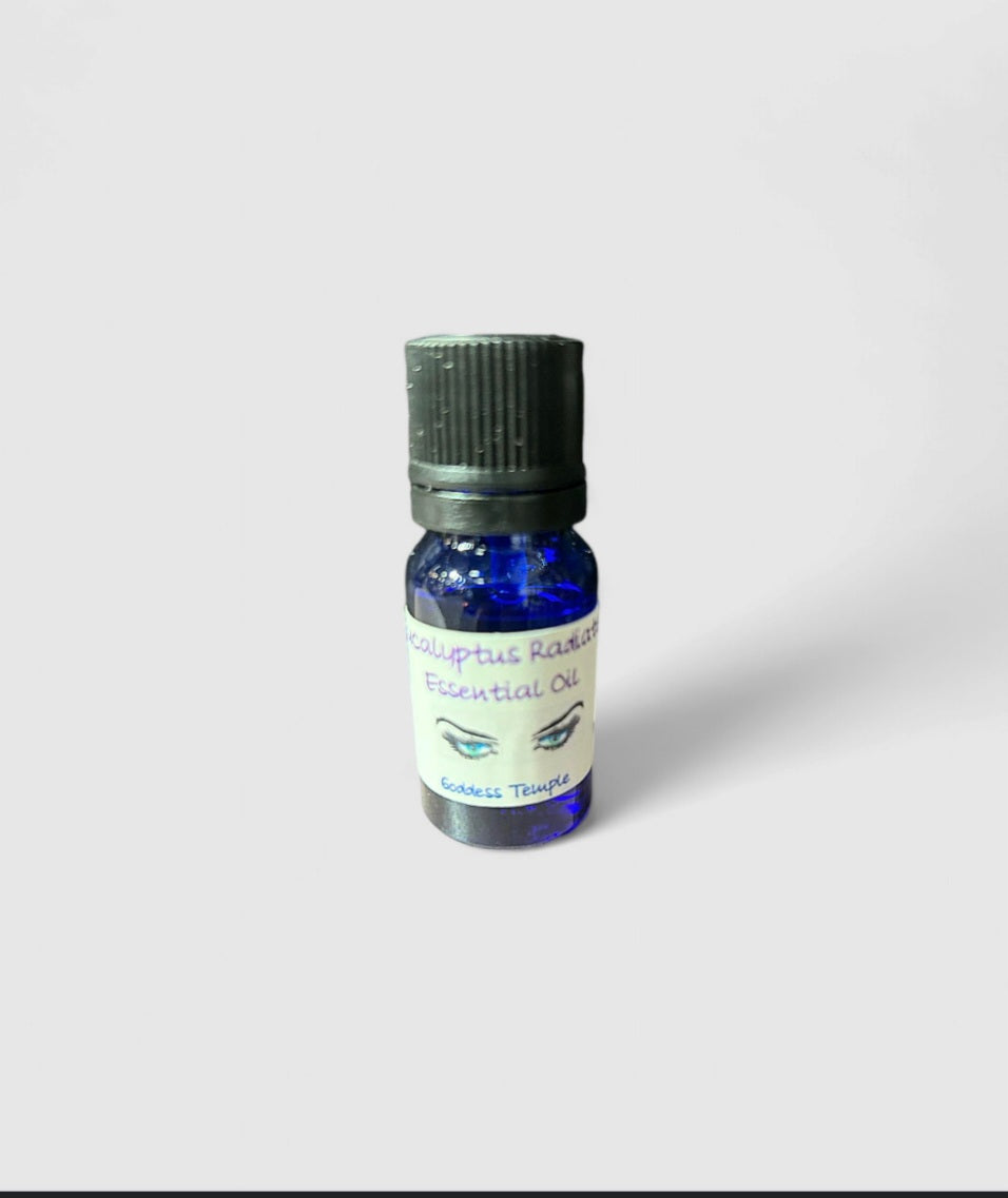 Eucalyptus Radiata Essential Oil